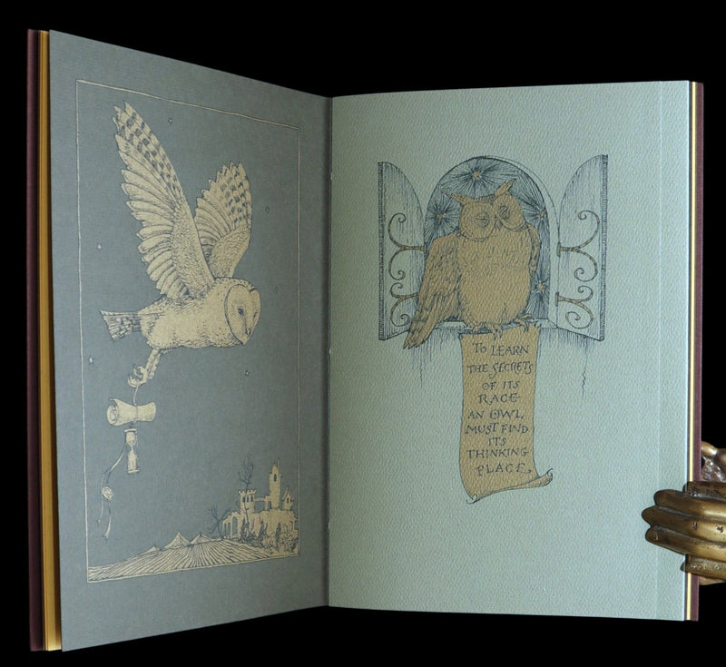 2012 Scarce Signed 1stED - Full Moon Eyes; Ode to Owls by Charles van Sandwyk