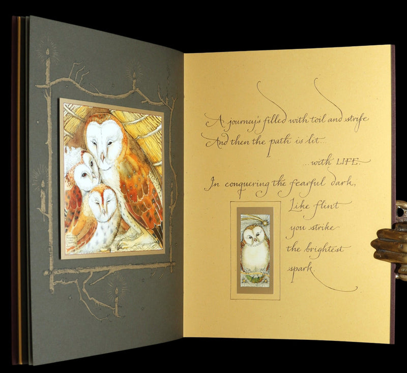 2012 Scarce Signed 1stED - Full Moon Eyes; Ode to Owls by Charles van Sandwyk