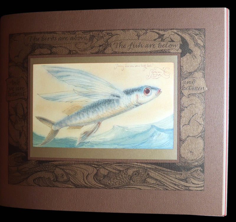 2005 First Edition- Sketches from the Dream Island of Birds, Charles van Sandwyk