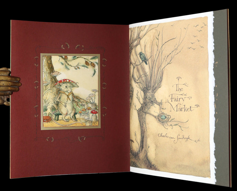 2009 Scarce First Edition - The Fairy Market Illustrated by Charles van Sandwyk