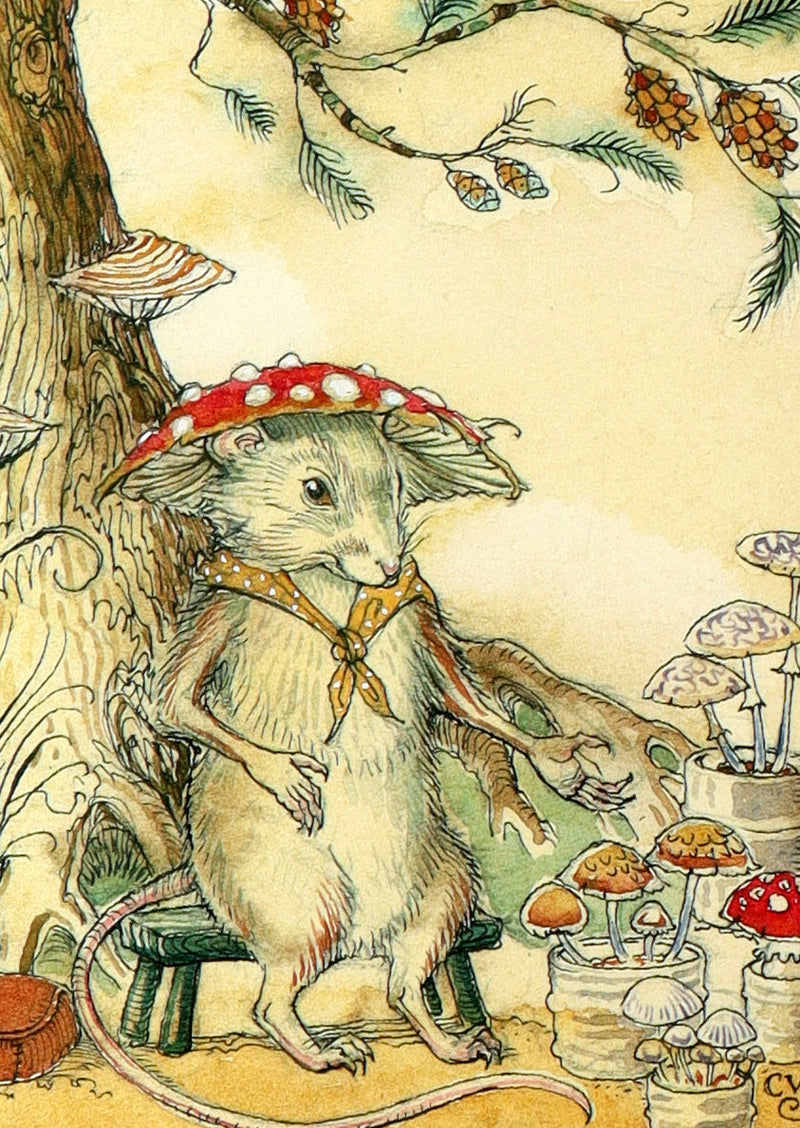 2009 Scarce First Edition - The Fairy Market Illustrated by Charles van Sandwyk