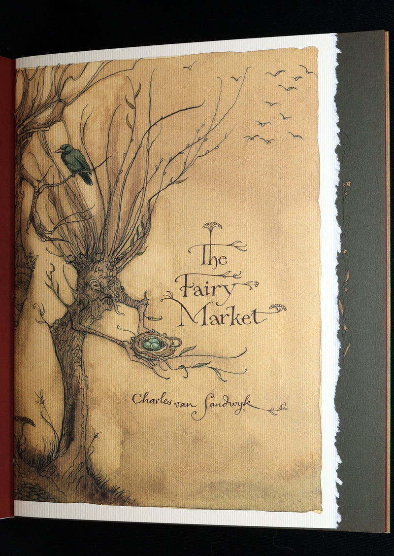 2009 Scarce First Edition - The Fairy Market Illustrated by Charles van Sandwyk