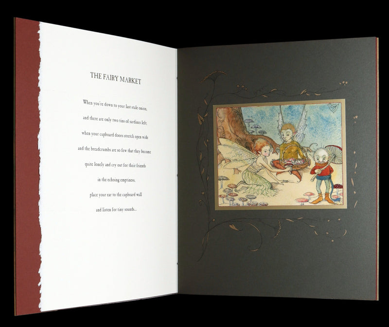 2009 Scarce First Edition - The Fairy Market Illustrated by Charles van Sandwyk