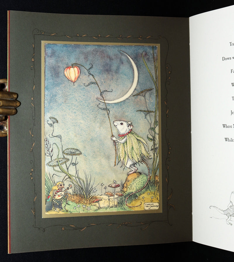 2009 Scarce First Edition - The Fairy Market Illustrated by Charles van Sandwyk
