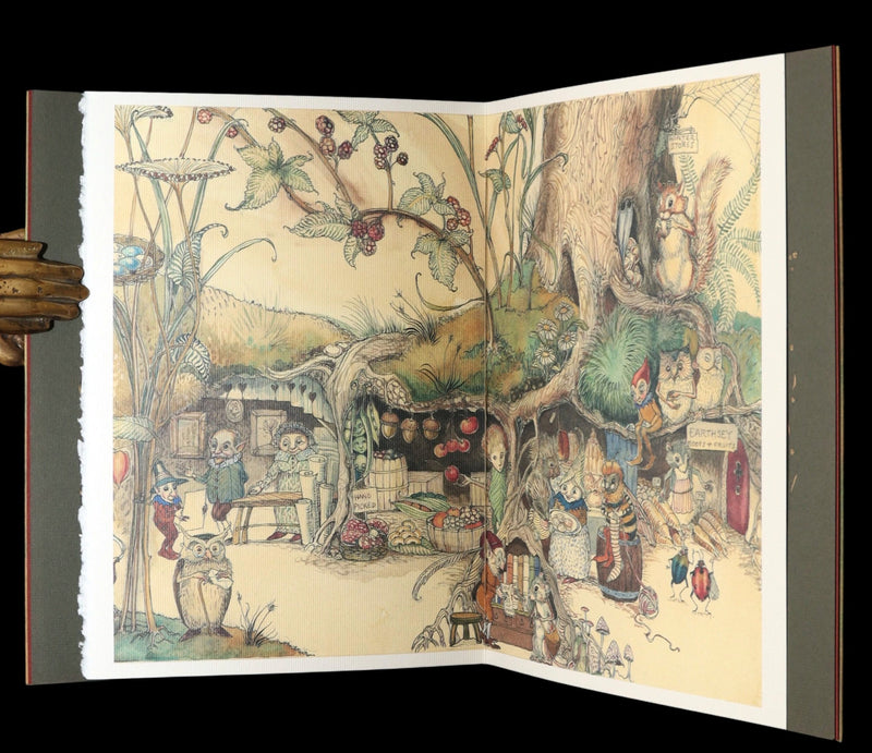 2009 Scarce First Edition - The Fairy Market Illustrated by Charles van Sandwyk