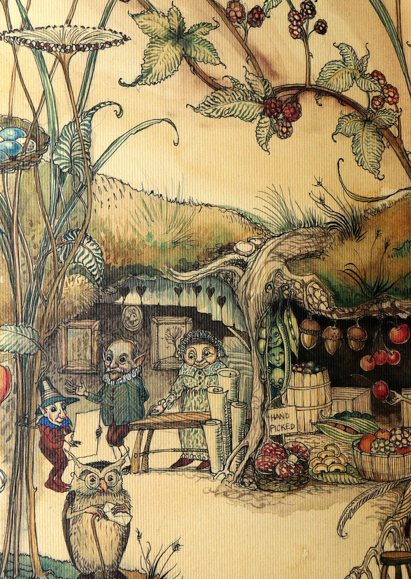 2009 Scarce First Edition - The Fairy Market Illustrated by Charles van Sandwyk