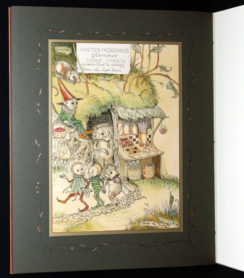 2009 Scarce First Edition - The Fairy Market Illustrated by Charles van Sandwyk
