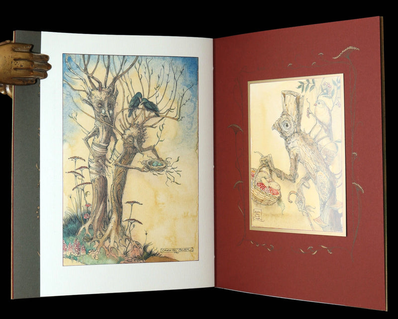 2009 Scarce First Edition - The Fairy Market Illustrated by Charles van Sandwyk