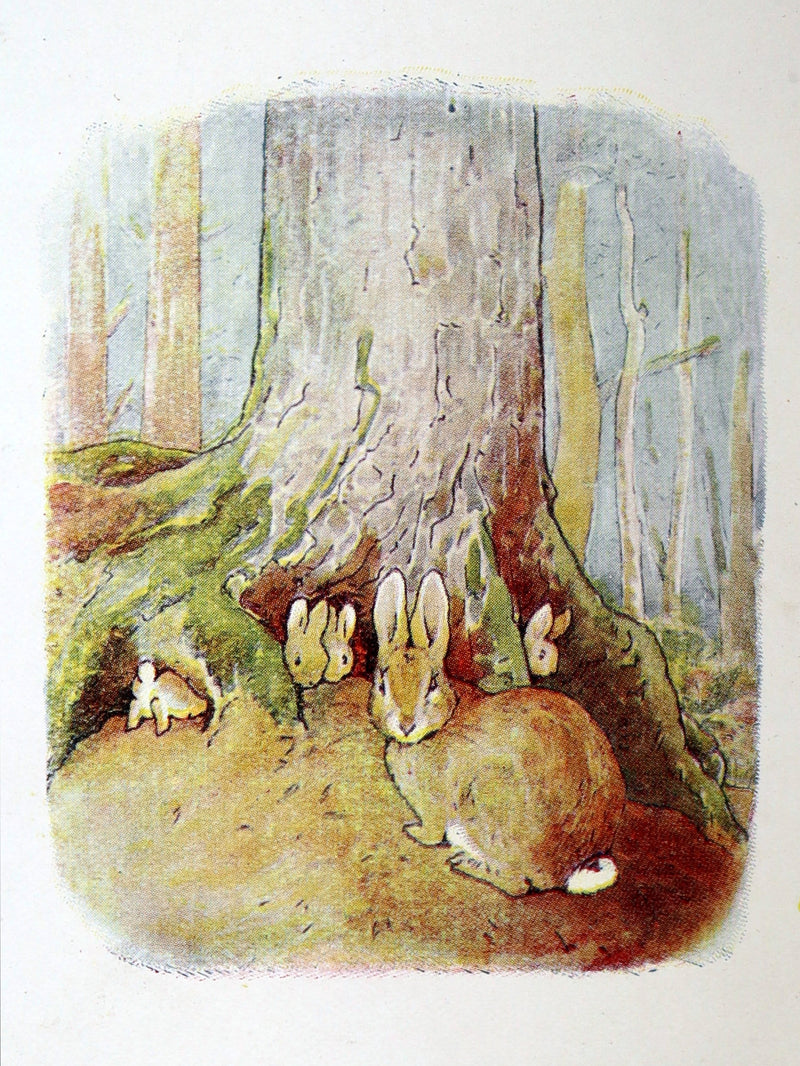 1904 Rare Early Printing- The Tale of Peter Rabbit illustrated by Beatrix Potter