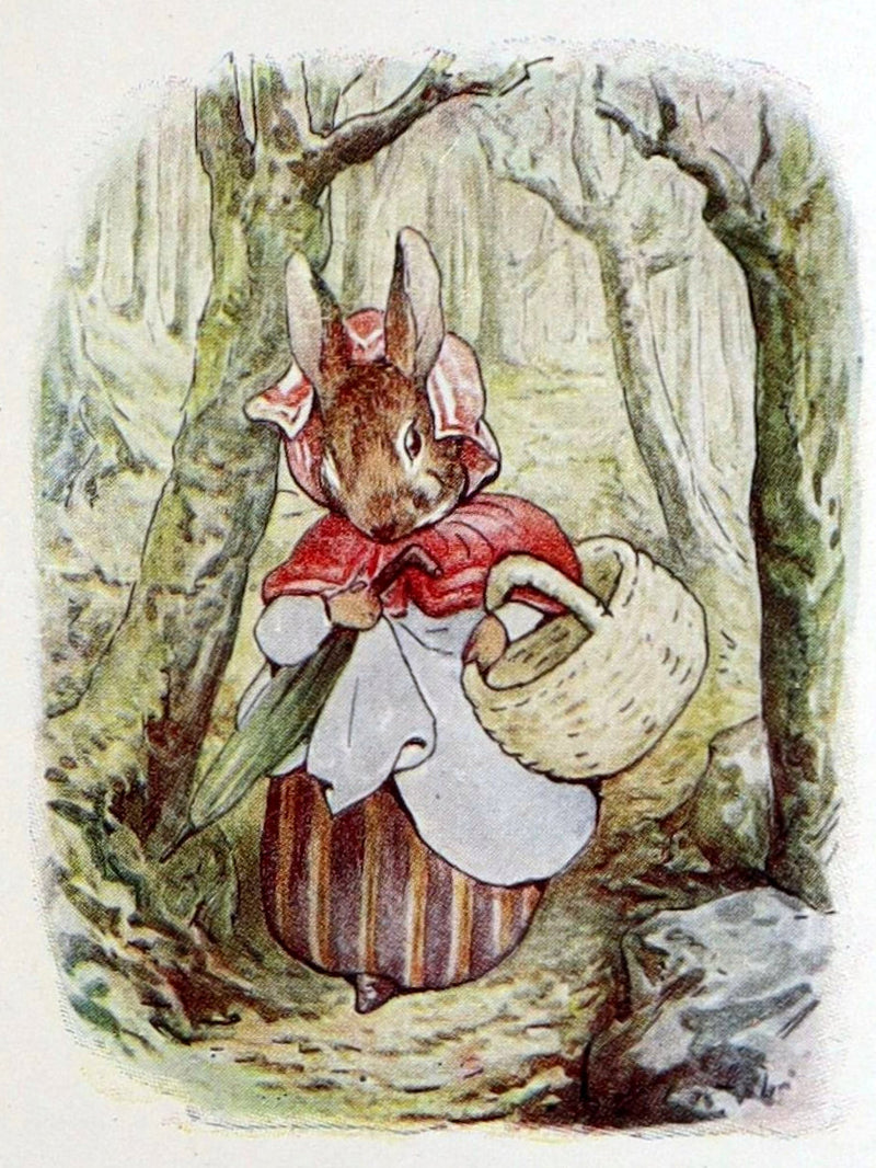 1904 Rare Early Printing- The Tale of Peter Rabbit illustrated by Beatrix Potter