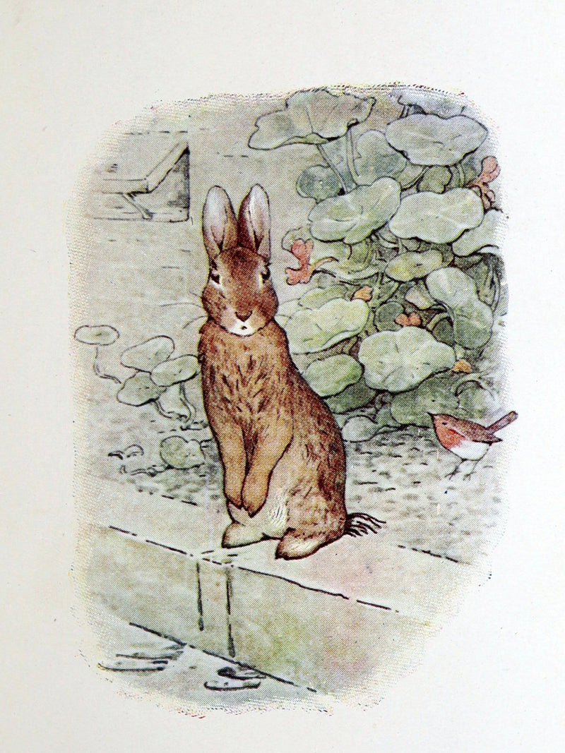1904 Rare Early Printing- The Tale of Peter Rabbit illustrated by Beatrix Potter