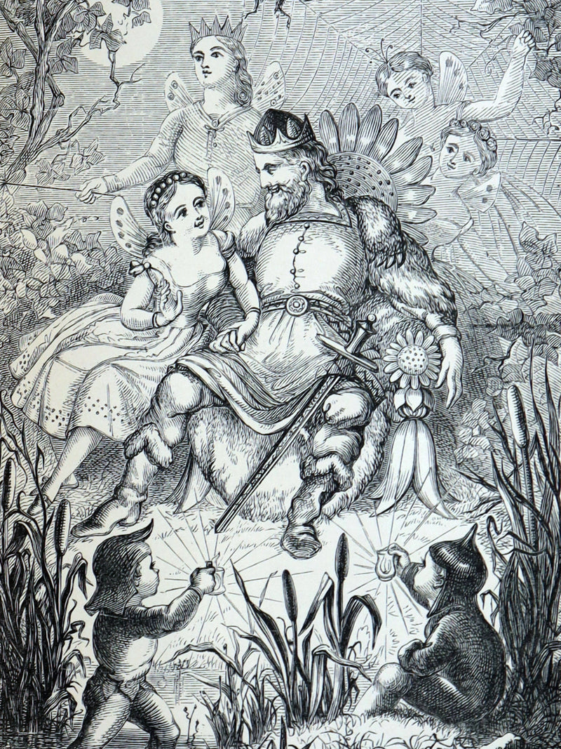 1890 Rare Book - Hans Andersen's Fairy Tales, Illustrated