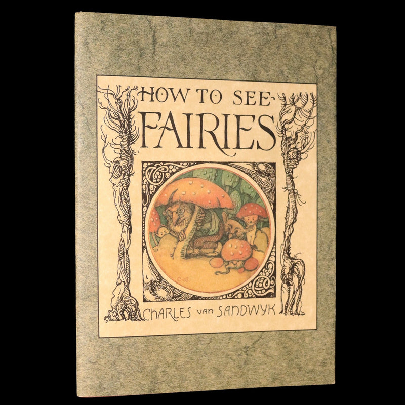 1993 Scarce First Edition - How to See Fairies by Charles van Sandwyk