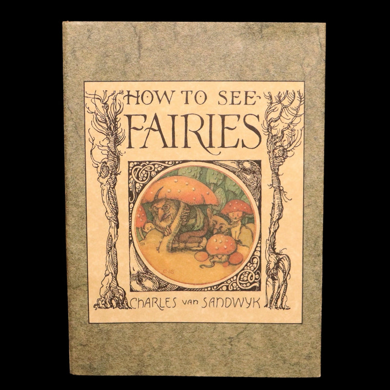 1993 Scarce First Edition - How to See Fairies by Charles van Sandwyk