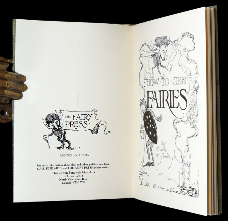 1993 Scarce First Edition - How to See Fairies by Charles van Sandwyk