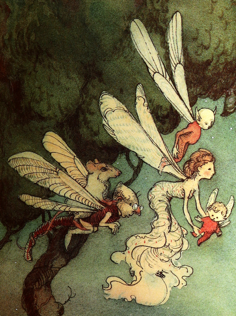 1993 Scarce First Edition - How to See Fairies by Charles van Sandwyk