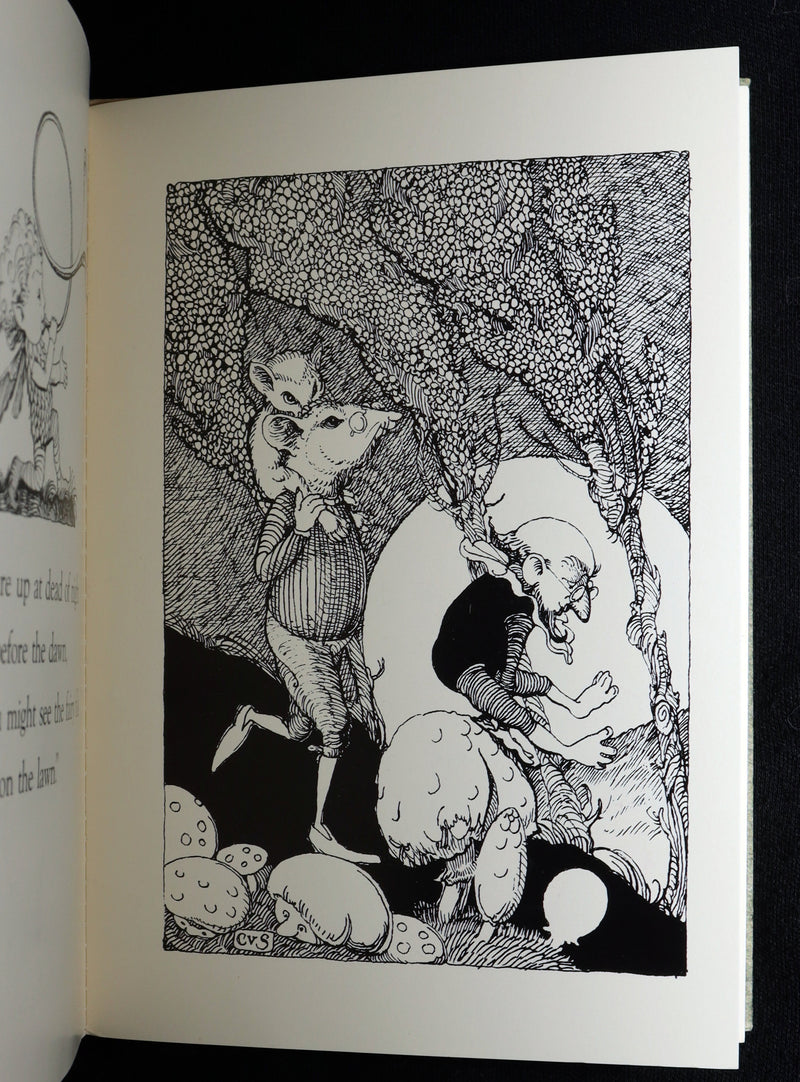 1993 Scarce First Edition - How to See Fairies by Charles van Sandwyk