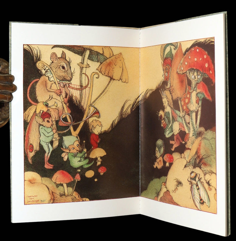 1993 Scarce First Edition - How to See Fairies by Charles van Sandwyk