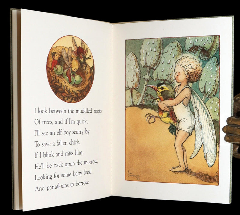 1993 Scarce First Edition - How to See Fairies by Charles van Sandwyk