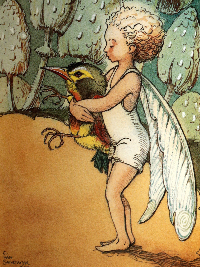 1993 Scarce First Edition - How to See Fairies by Charles van Sandwyk