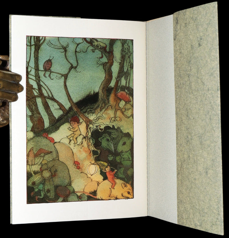 1993 Scarce First Edition - How to See Fairies by Charles van Sandwyk