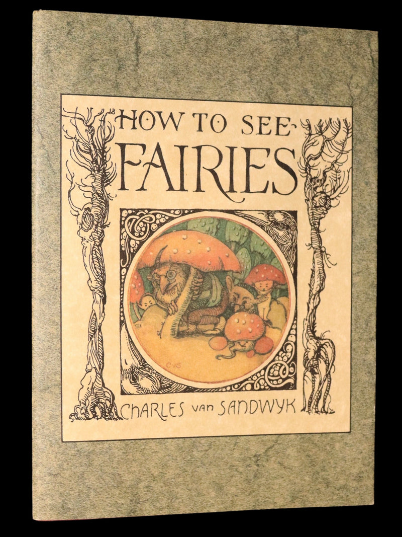 1993 Scarce First Edition - How to See Fairies by Charles van Sandwyk