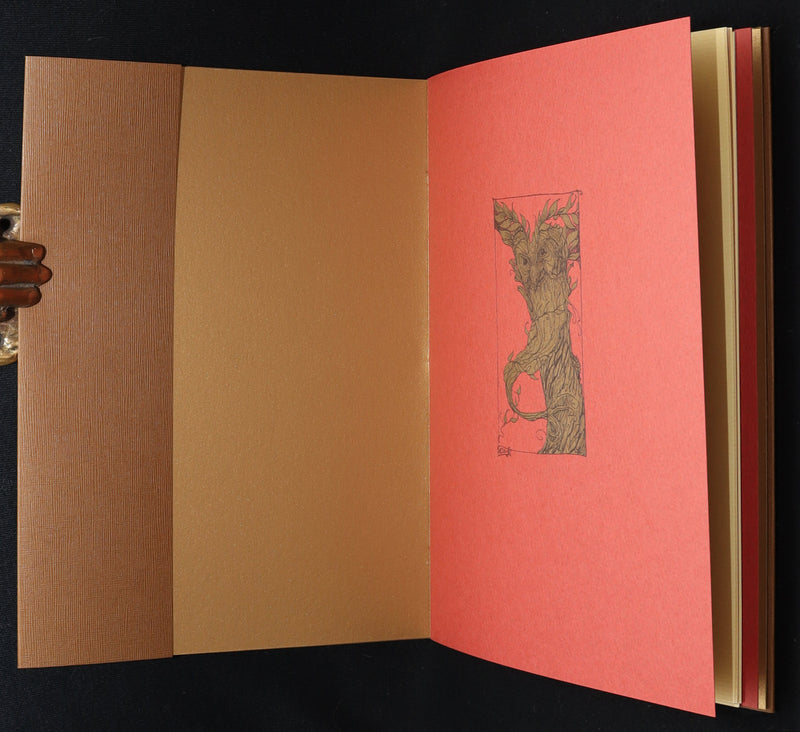 2015 Rare First Edition - Tree Whispers, Illustrated by Charles van Sandwyk