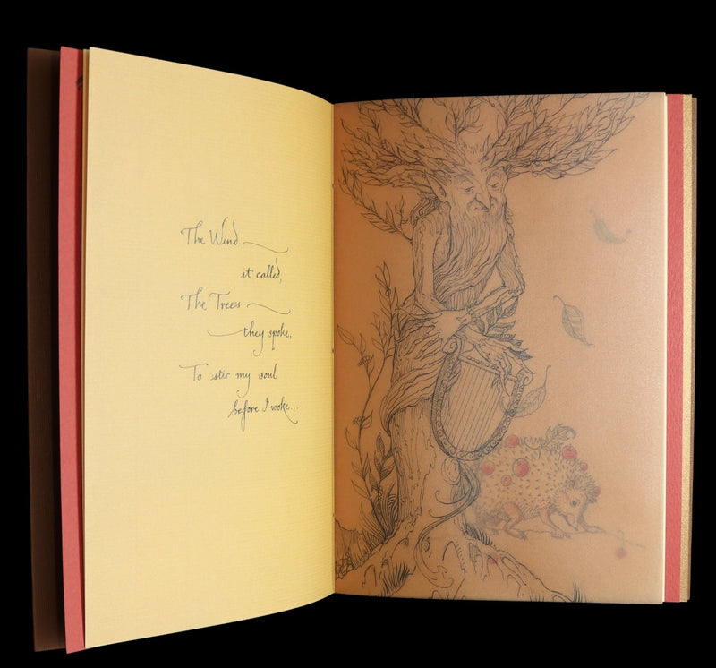 2015 Rare First Edition - Tree Whispers, Illustrated by Charles van Sandwyk