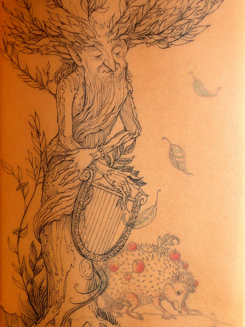 2015 Rare First Edition - Tree Whispers, Illustrated by Charles van Sandwyk