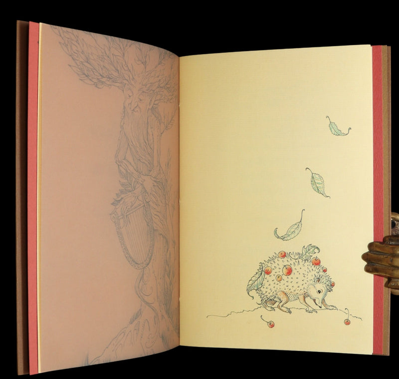 2015 Rare First Edition - Tree Whispers, Illustrated by Charles van Sandwyk