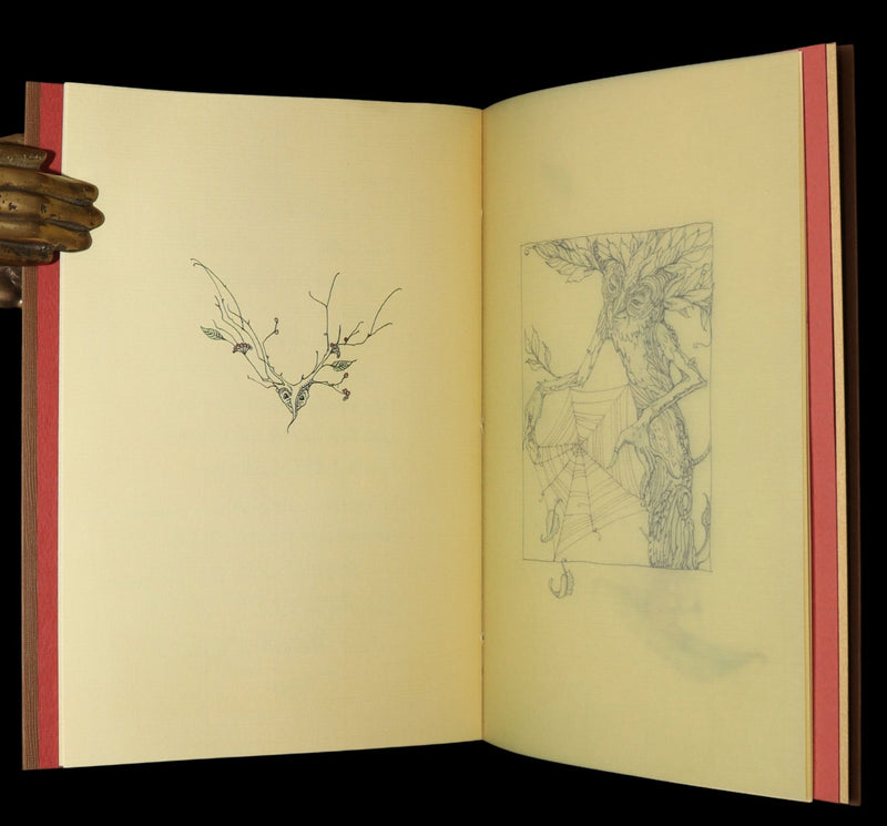 2015 Rare First Edition - Tree Whispers, Illustrated by Charles van Sandwyk