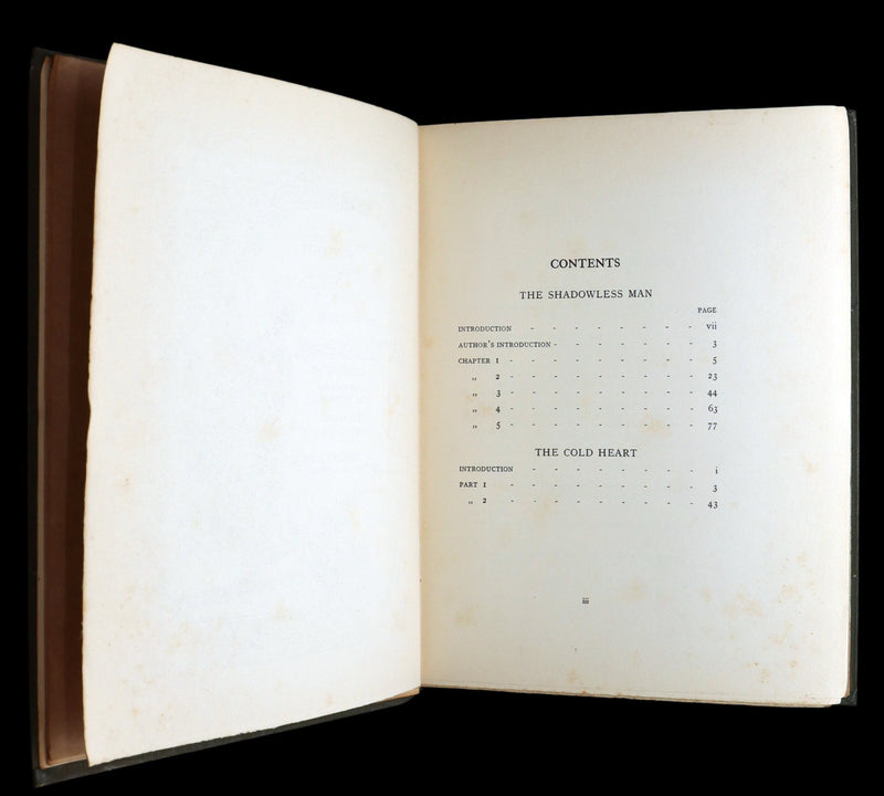 1913 1stED - Marvellous History of The Shadowless Man illustrated by F. Robson