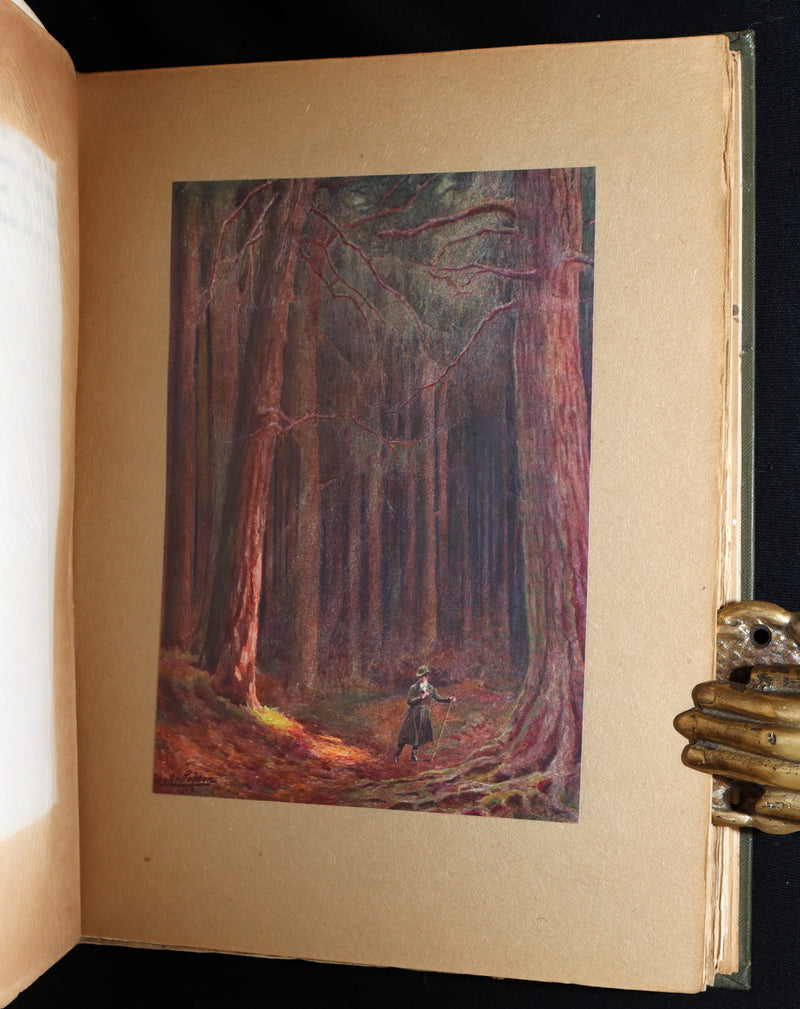 1913 1stED - Marvellous History of The Shadowless Man illustrated by F. Robson