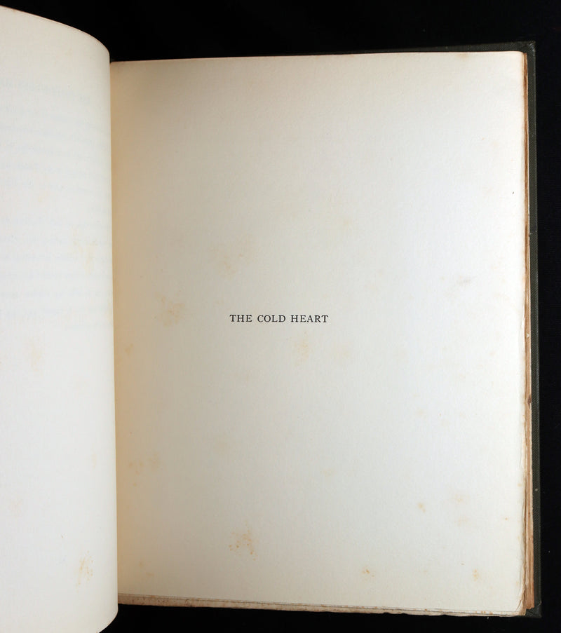 1913 1stED - Marvellous History of The Shadowless Man illustrated by F. Robson