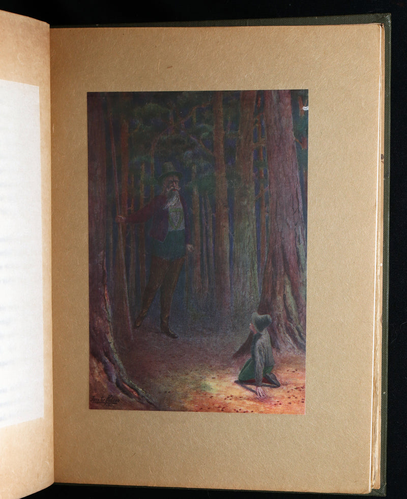 1913 1stED - Marvellous History of The Shadowless Man illustrated by F. Robson