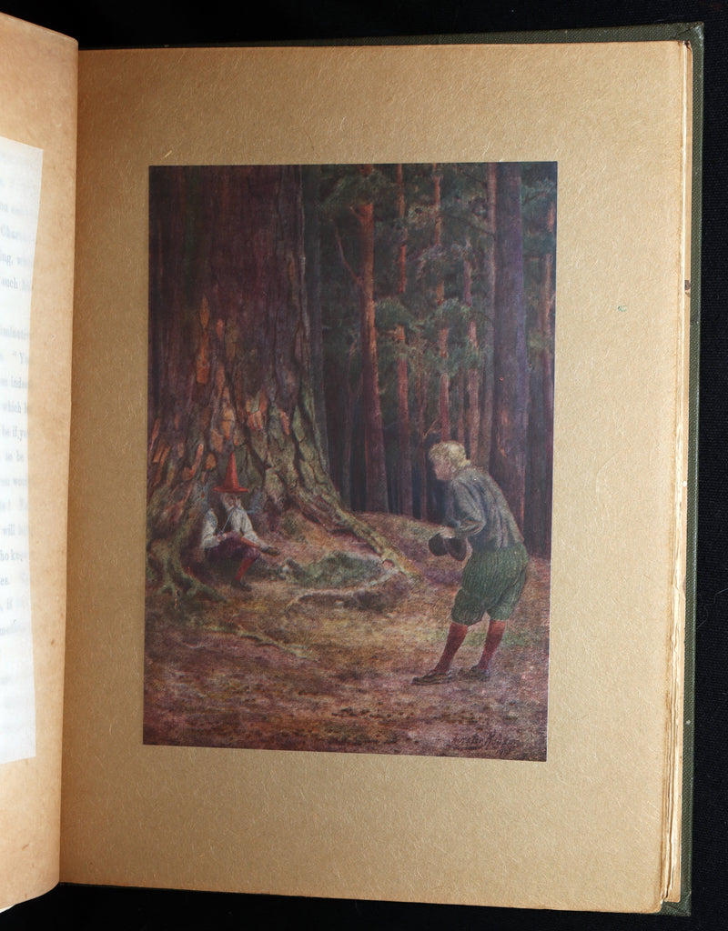 1913 1stED - Marvellous History of The Shadowless Man illustrated by F. Robson