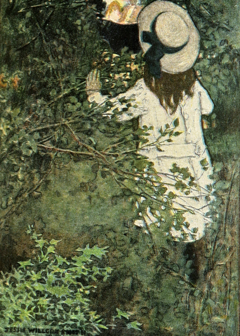 1904 First Edition - In the Closed Room illustrated by Jessie Willcox Smith