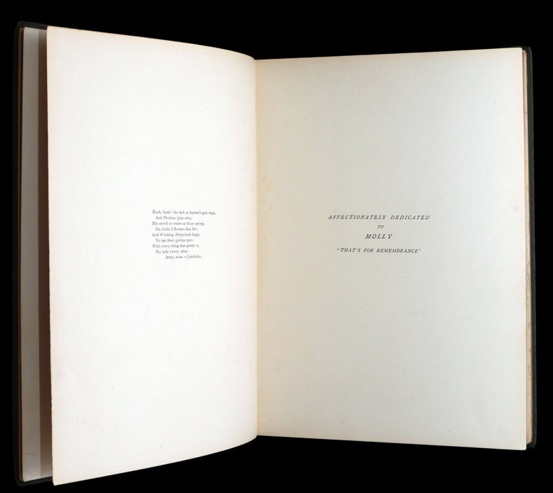 1899 Rare First Edition- The Princess of Hearts Illustrated by Alice B. Woodward