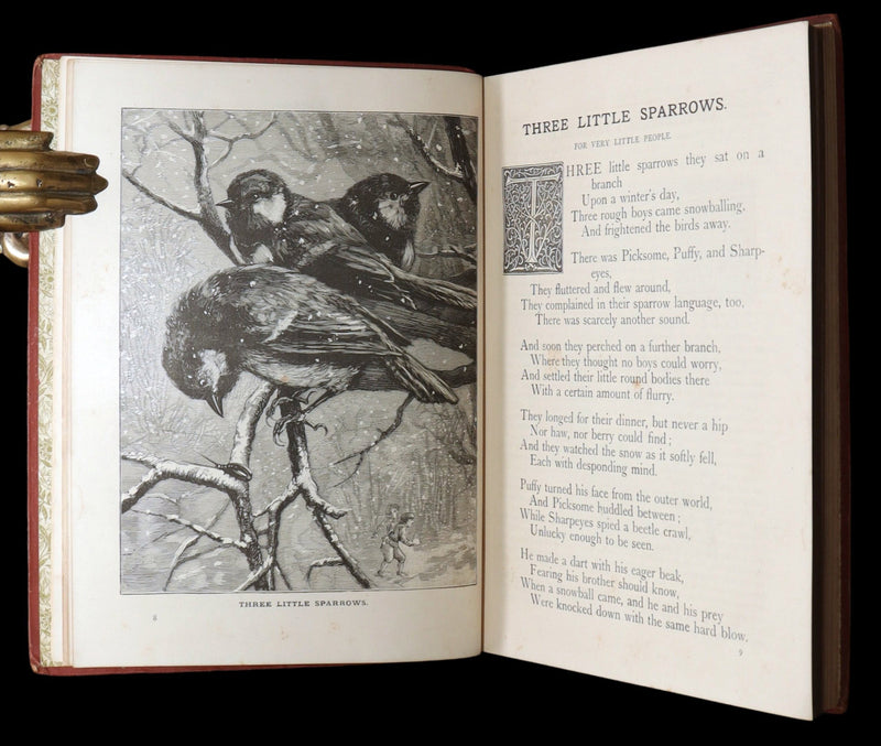 1889 Rare Book - Little Wide-Awake: An Illustrated Magazine for Children
