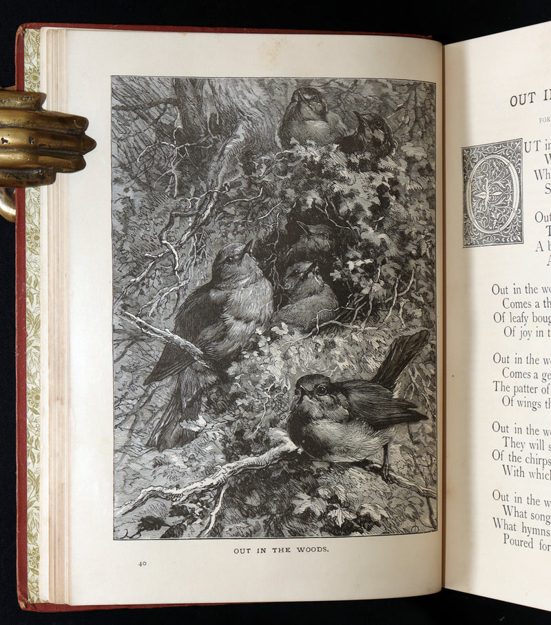 1889 Rare Book - Little Wide-Awake: An Illustrated Magazine for Children