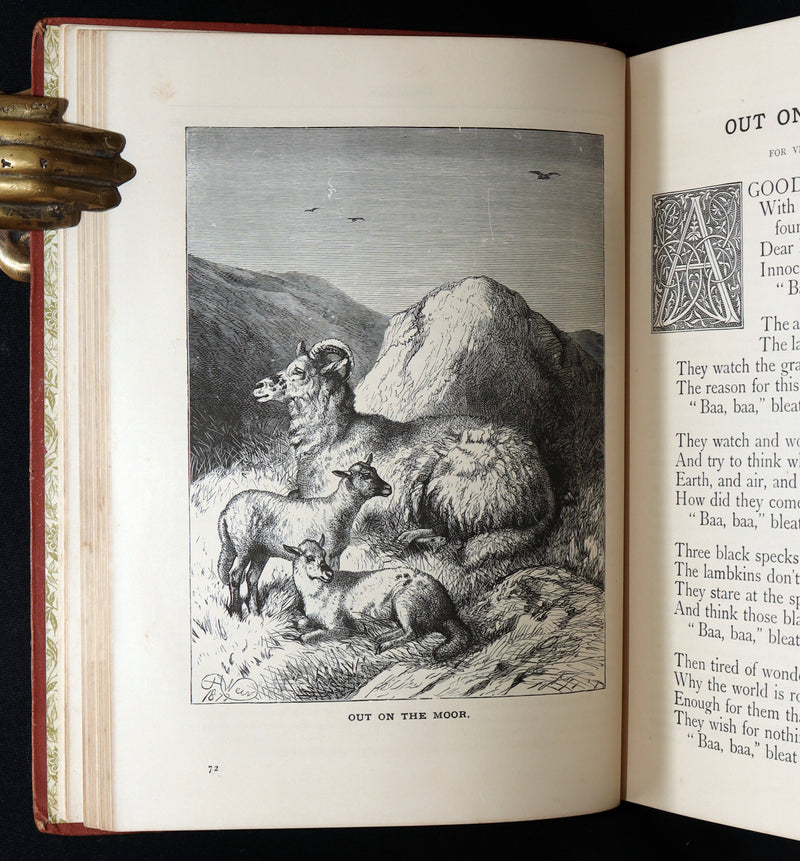 1889 Rare Book - Little Wide-Awake: An Illustrated Magazine for Children