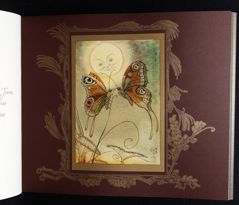 2019 Rare Signed Book - Affairs Of The Heart, Illustrated by Charles van Sandwyk