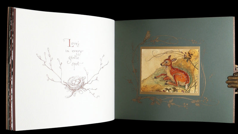 2019 Rare Signed Book - Affairs Of The Heart, Illustrated by Charles van Sandwyk