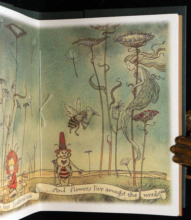 2000 Signed First Edition- The Gnome King’s Treasure Song by Charles van Sandwyk