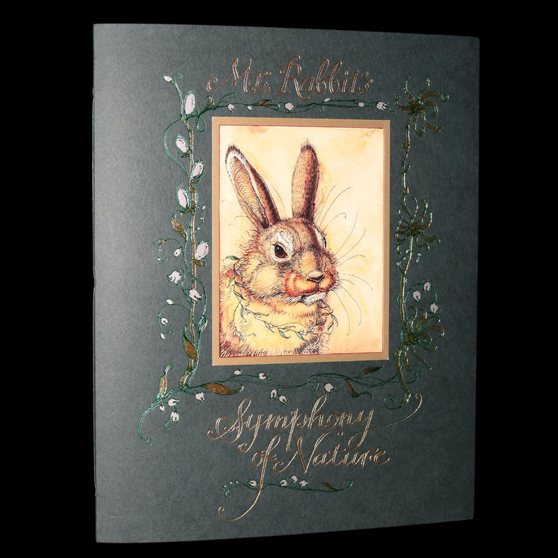 2008 Rare Signed 1stED - Mr. Rabbit's Symphony of Nature by Charles van Sandwyk