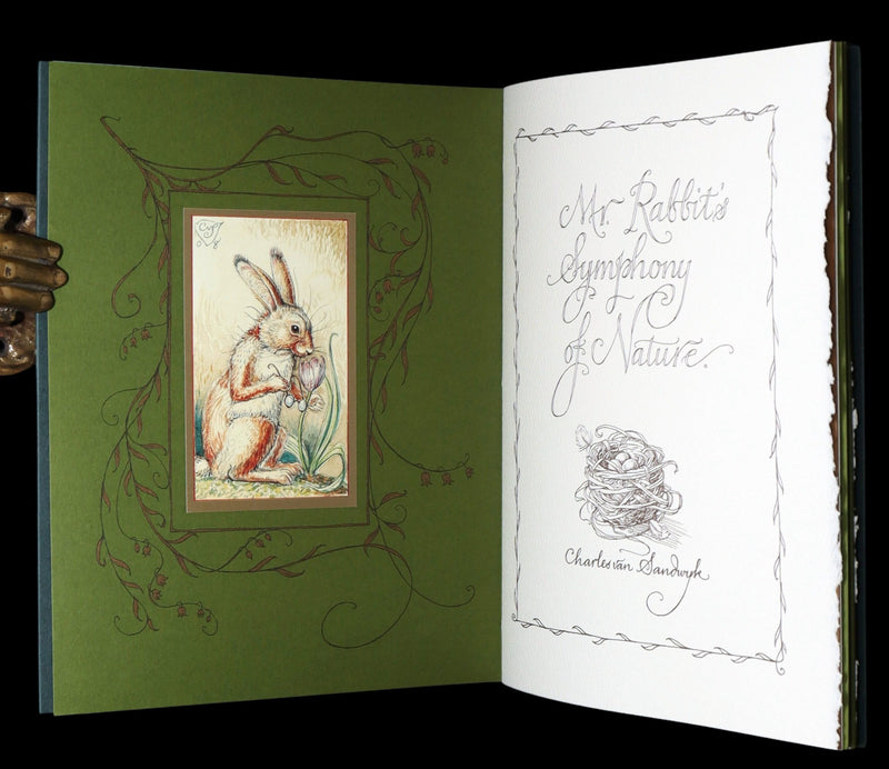 2008 Rare Signed 1stED - Mr. Rabbit's Symphony of Nature by Charles van Sandwyk