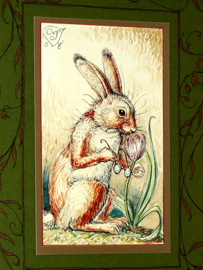 2008 Rare Signed 1stED - Mr. Rabbit's Symphony of Nature by Charles van Sandwyk