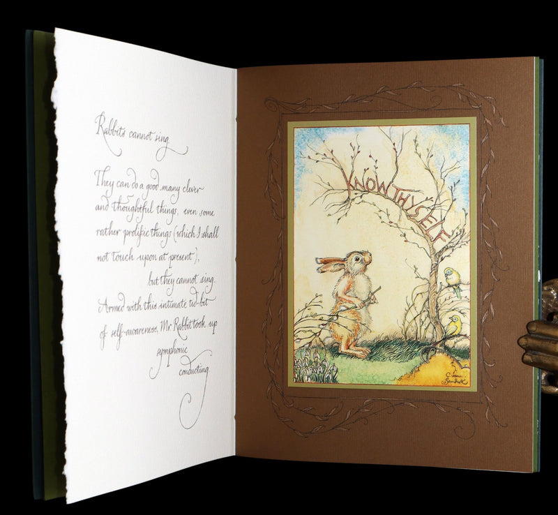 2008 Rare Signed 1stED - Mr. Rabbit's Symphony of Nature by Charles van Sandwyk