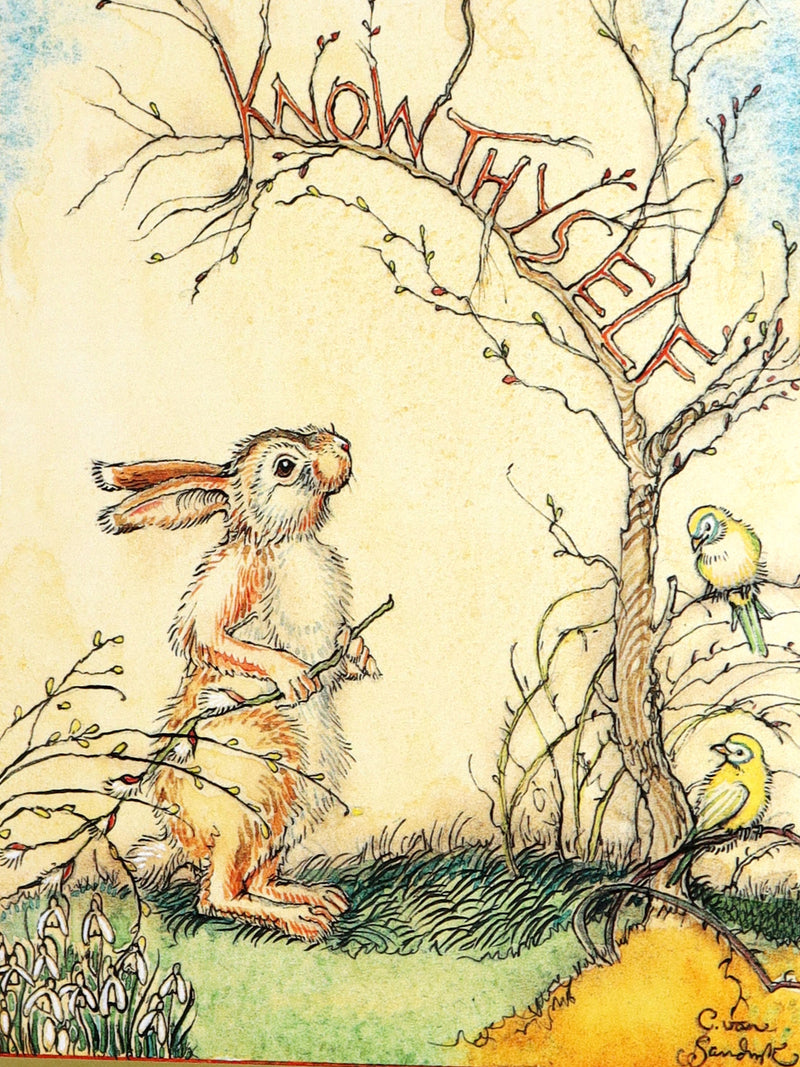 2008 Rare Signed 1stED - Mr. Rabbit's Symphony of Nature by Charles van Sandwyk