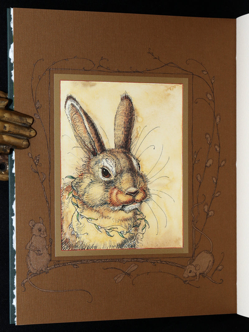 2008 Rare Signed 1stED - Mr. Rabbit's Symphony of Nature by Charles van Sandwyk
